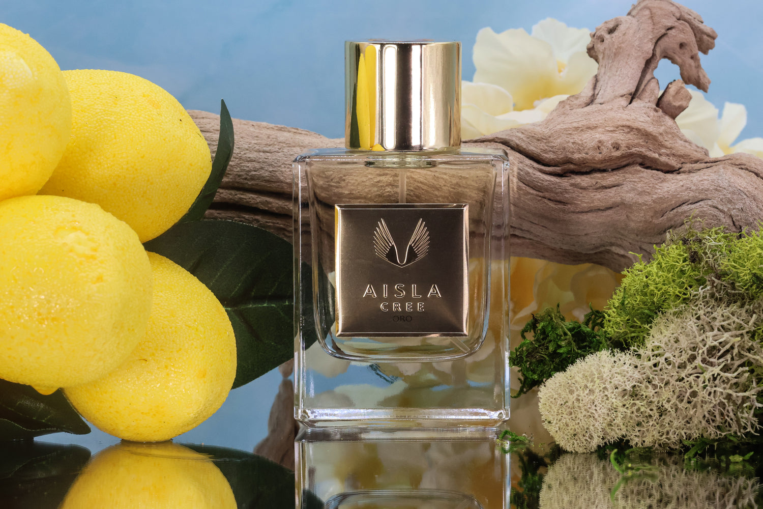 Aisla Cree Oro
